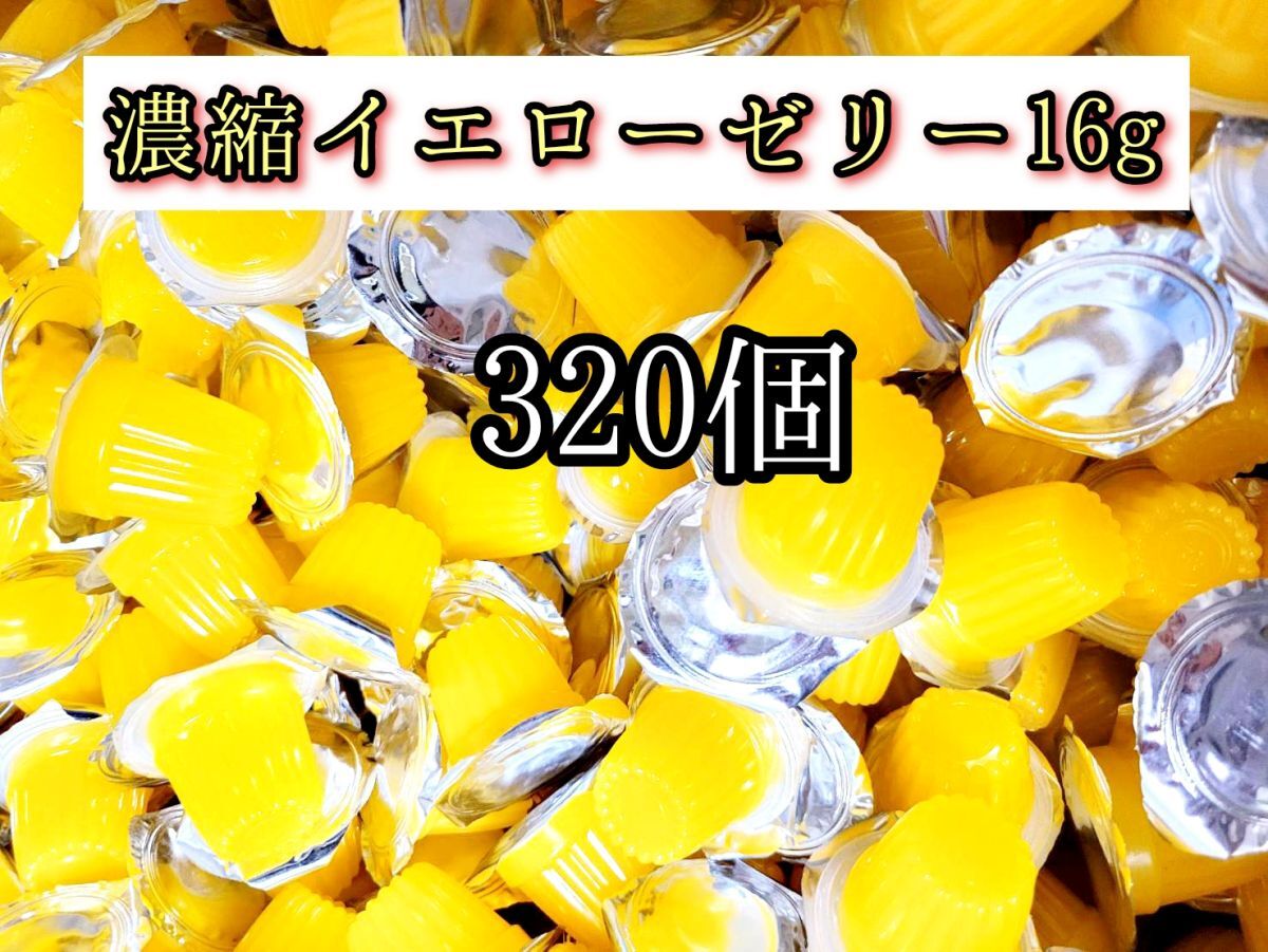高タンパク 濃縮イエローゼリー16g 320個 クワガタ カブトムシ クワカブ オオクワガタ プロゼリー ドルクスゼリー すこやかゼリー拍卖