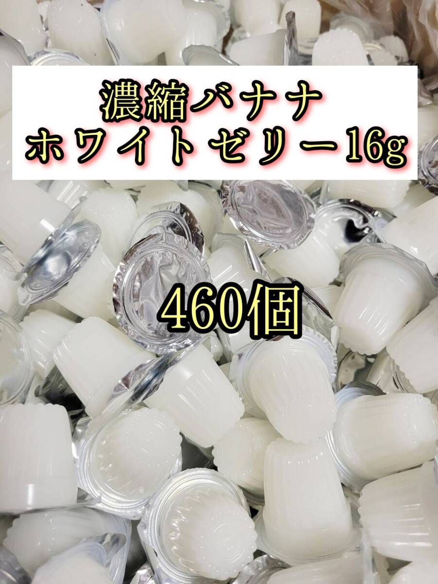 高タンパク 濃縮バナナホワイトゼリー16g 460個 クワガタ カブトムシ クワカブ オオクワガタ プロゼリー ドルクスゼリー すこやかゼリー拍卖