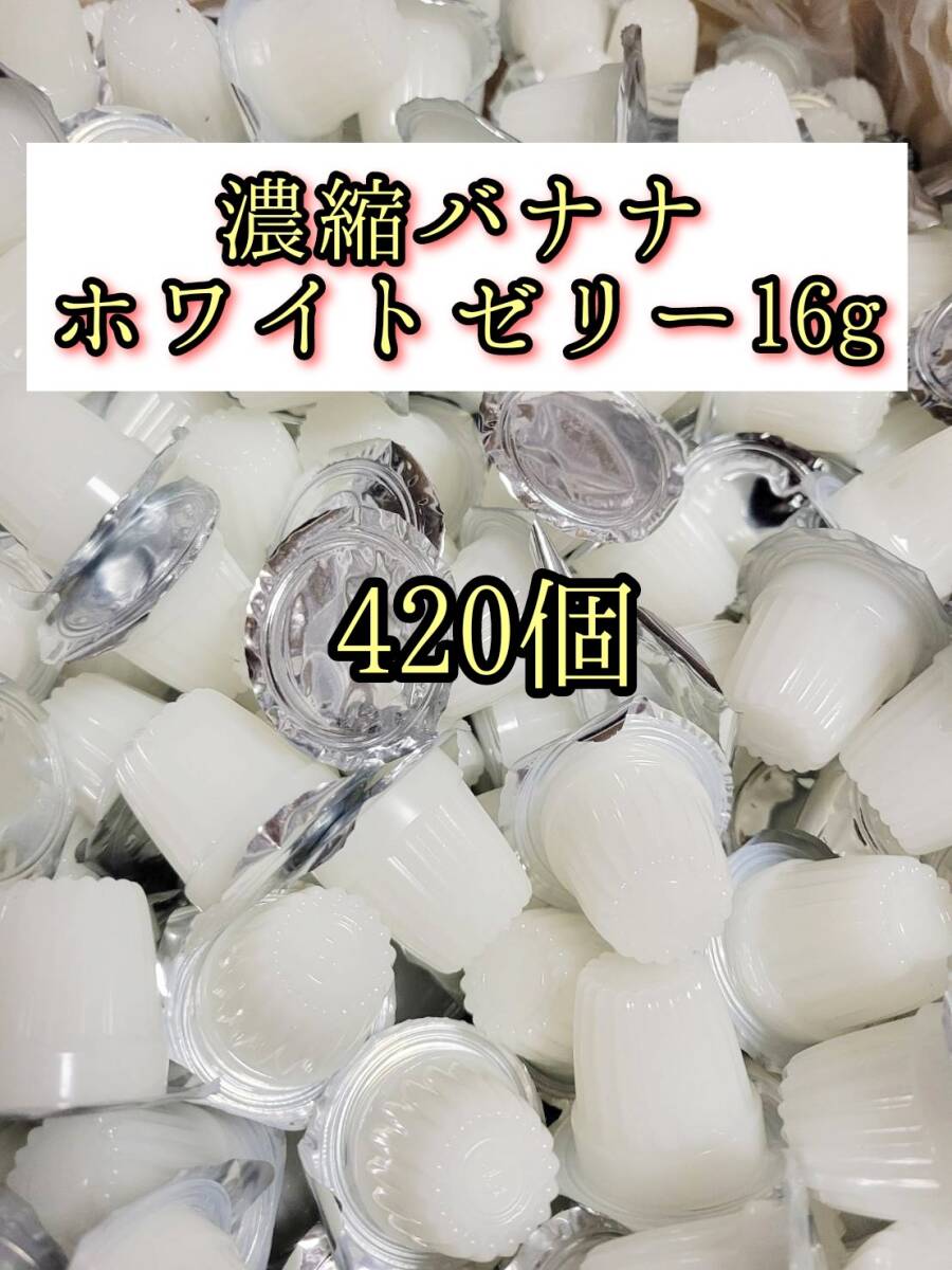 高タンパク 濃縮バナナホワイトゼリー16g 420個 クワガタ カブトムシ クワカブ オオクワガタ プロゼリー ドルクスゼリー すこやかゼリー拍卖