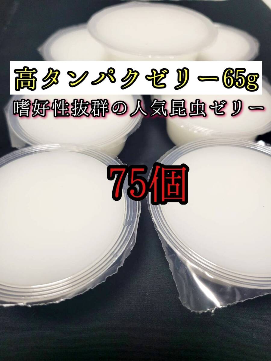 高タンパクゼリー65g 75個 クワガタ カブトムシ オオクワガタ フクロモモンガ ハムスター フクロモモンガ 小動物 クワカブ ドルクスゼリー拍卖