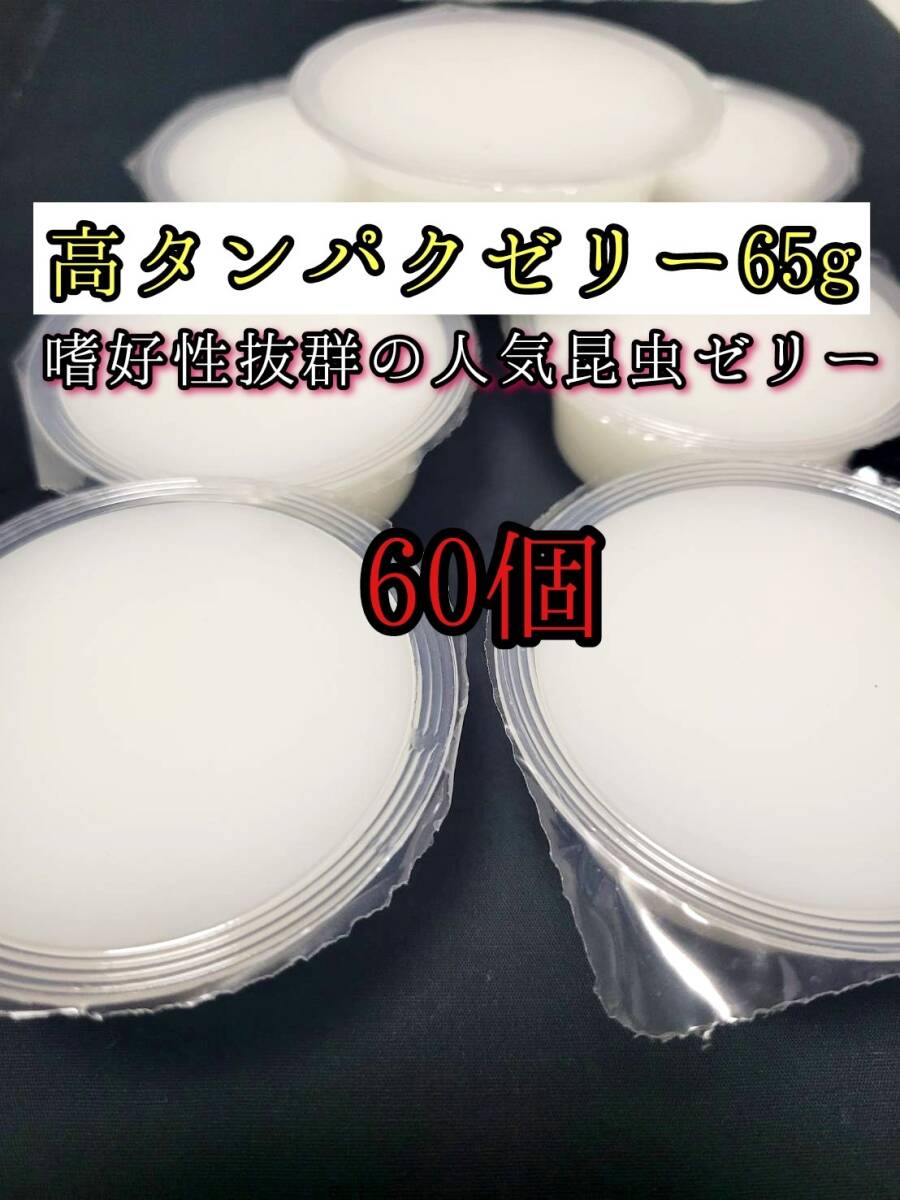 高タンパクゼリー65g 60個 クワガタ カブトムシ オオクワガタ フクロモモンガ ハムスター フクロモモンガ 小動物 クワカブ ドルクスゼリー拍卖