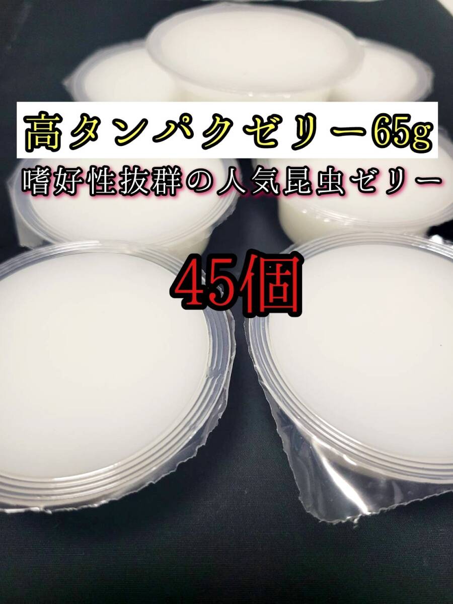 高タンパクゼリー65g 45個 クワガタ カブトムシ オオクワガタ フクロモモンガ ハムスター フクロモモンガ 小動物 クワカブ ドルクスゼリー拍卖