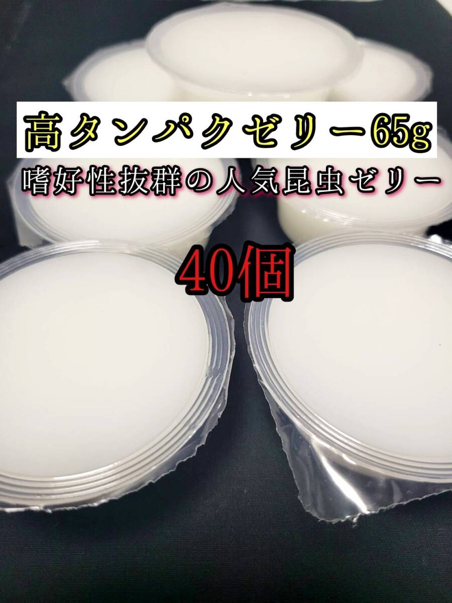 高タンパクゼリー65g 40個 クワガタ カブトムシ オオクワガタ フクロモモンガ ハムスター フクロモモンガ 小動物 クワカブ ドルクスゼリー拍卖