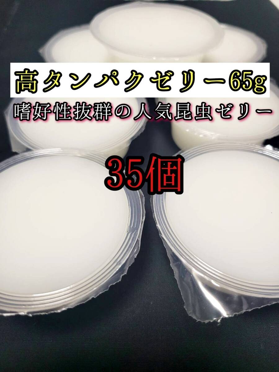 高タンパクゼリー65g 35個 クワガタ カブトムシ オオクワガタ フクロモモンガ ハムスター フクロモモンガ 小動物 クワカブ ドルクスゼリー拍卖