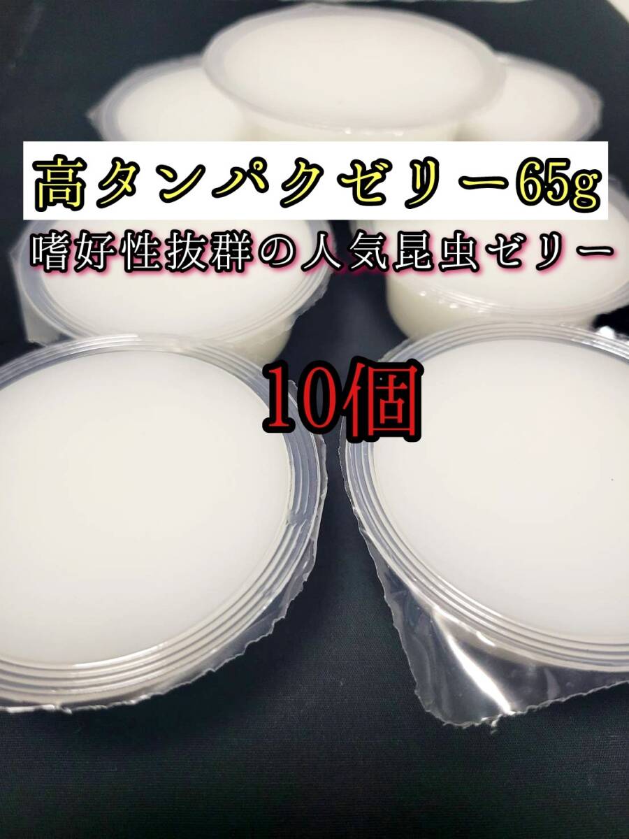 高タンパクゼリー65g 10個 クワガタ カブトムシ オオクワガタ フクロモモンガ ハムスター フクロモモンガ 小動物 クワカブ ドルクスゼリー拍卖