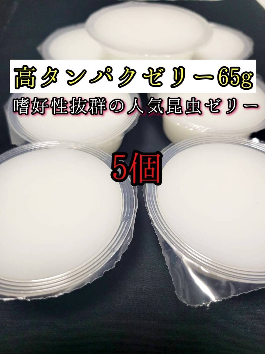 高タンパクゼリー65g 5個 クワガタ カブトムシ オオクワガタ フクロモモンガ ハムスター フクロモモンガ 小動物 クワカブ ドルクスゼリー拍卖