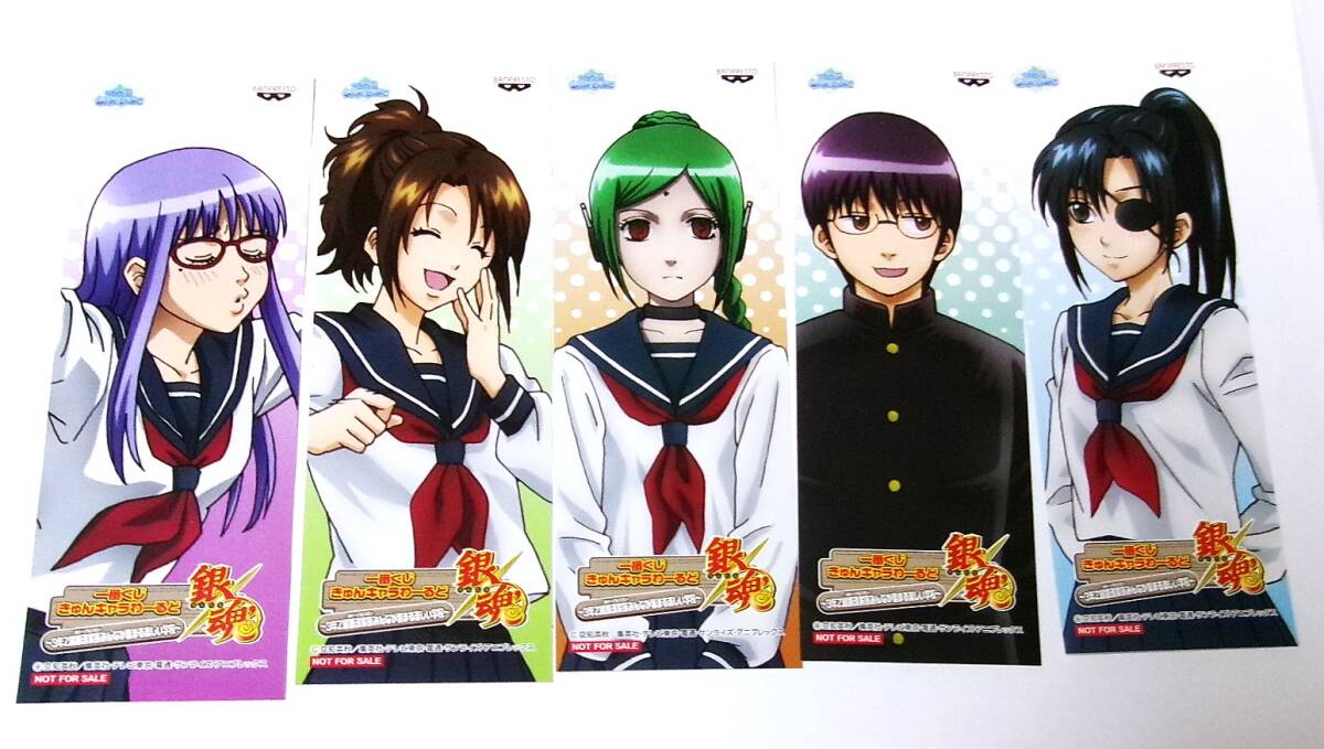 銀魂 一番くじ きゅんキャラわーるど しおり 志村新八、志村妙、猿飛あやめ さっちゃん、柳生九兵衛、たま 3Z 非売品 5枚セット 未使用拍卖