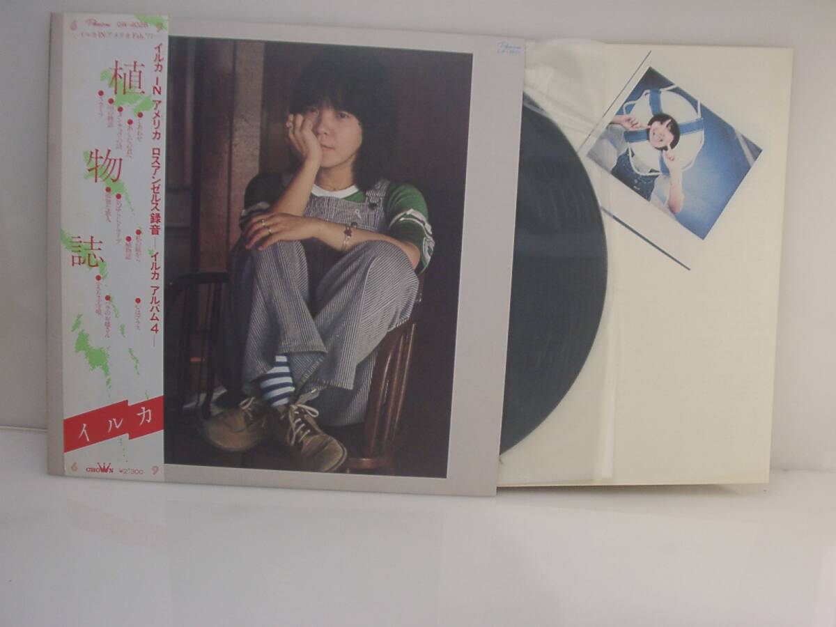 夢LPレコード イルカ 食物誌 ロスアンゼルス録音拍卖