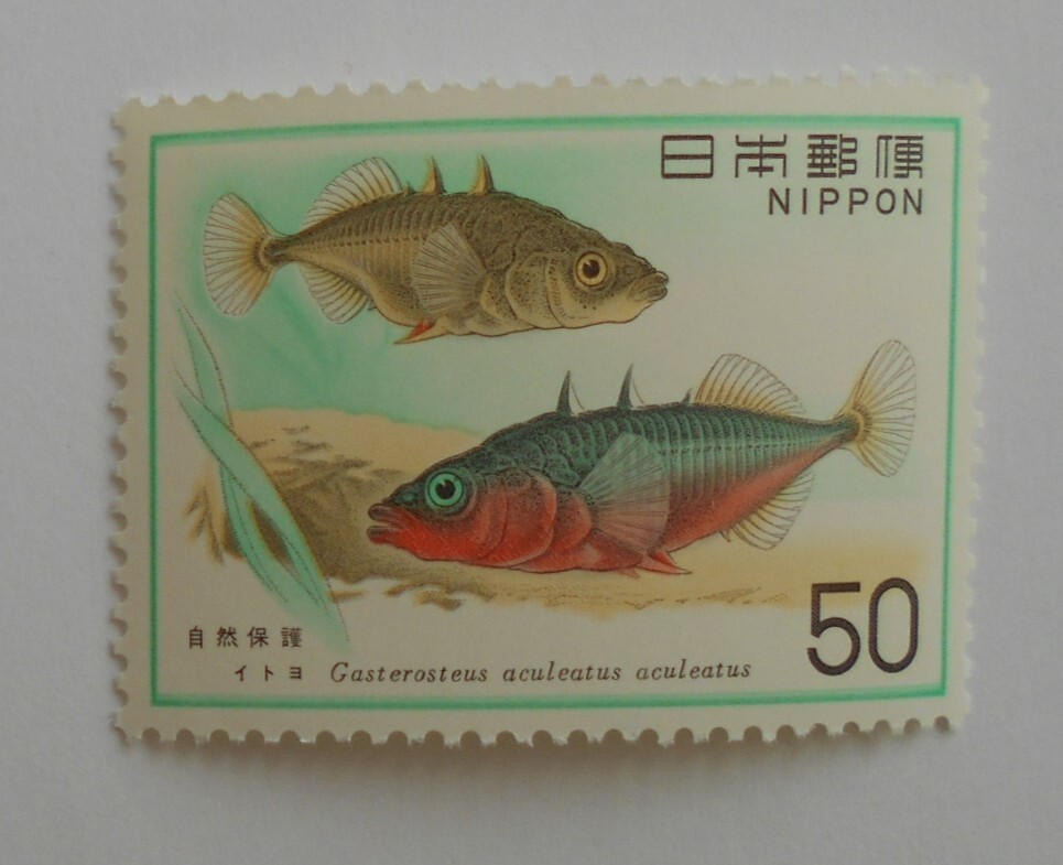 自然保護3集 イトヨ 未使用50円切手(524)拍卖