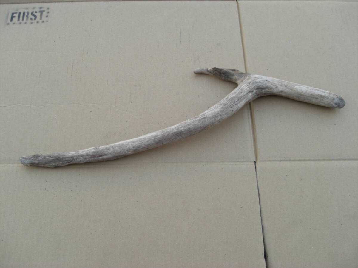 海の流木 ナチュラル インテリア雑貨 工作 DIYに 60センチ アクアリウム ドアノブ ハンガーに 飾り付け拍卖