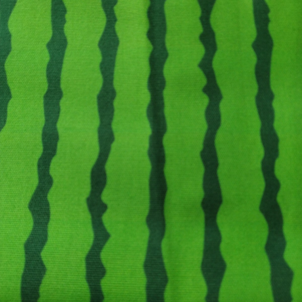 スイカ皮 オックスフォード生地(ダブル巾)150センチ巾×200センチ拍卖