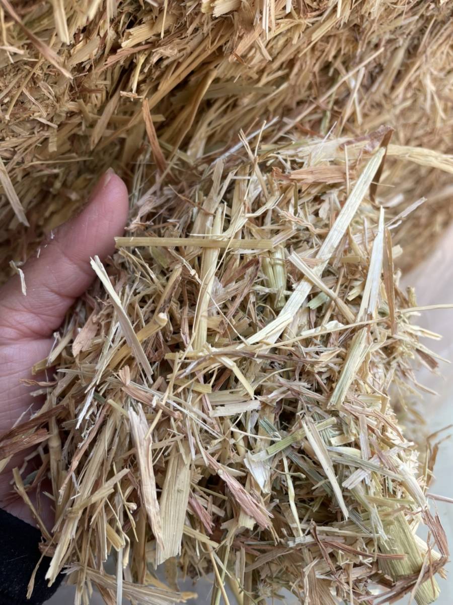 牧草 乾草 飼料 エサ オーツヘイ 約25kg拍卖