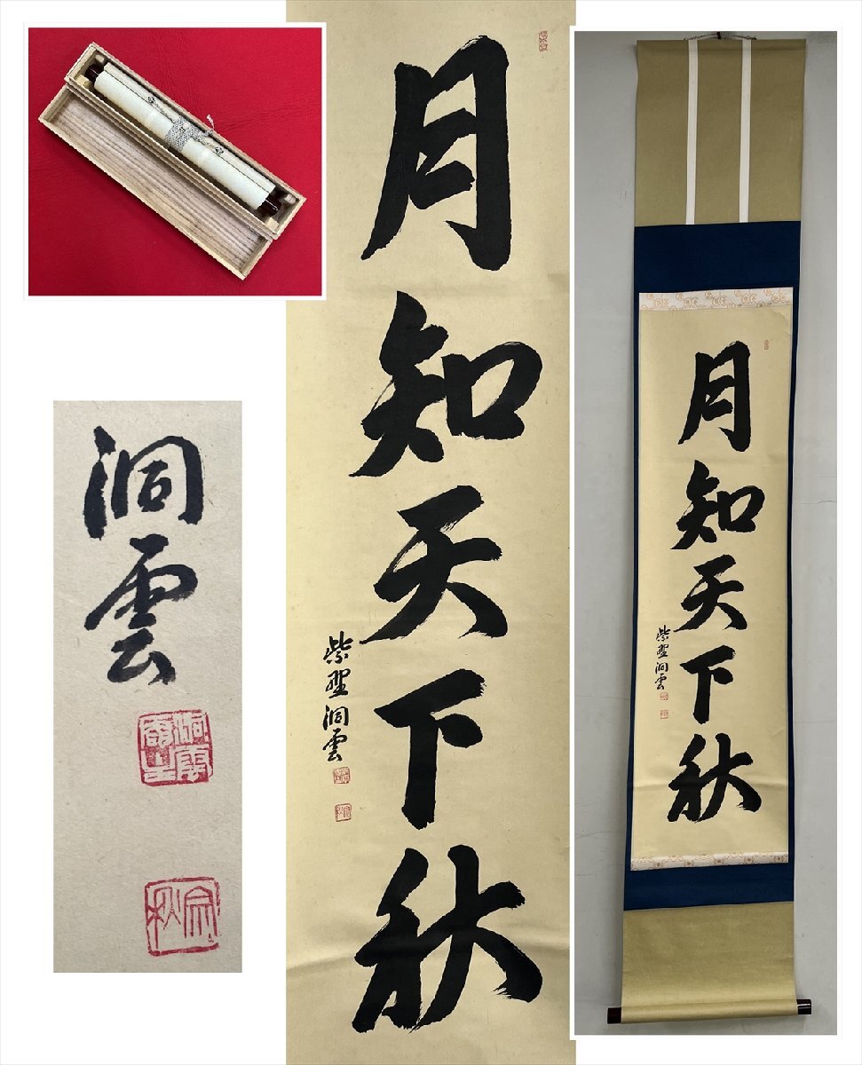 【千寿】大徳寺 王林院 森洞雲 月知天下秋 一行書 紙本 d1353◆箱 在銘 箱 茶掛 掛軸 掛物 茶道具拍卖