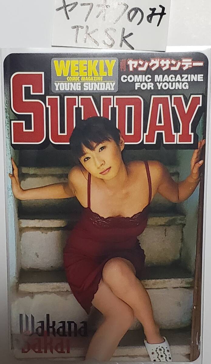 即決 ヤングサンデー テレカ 酒井若菜 拍卖