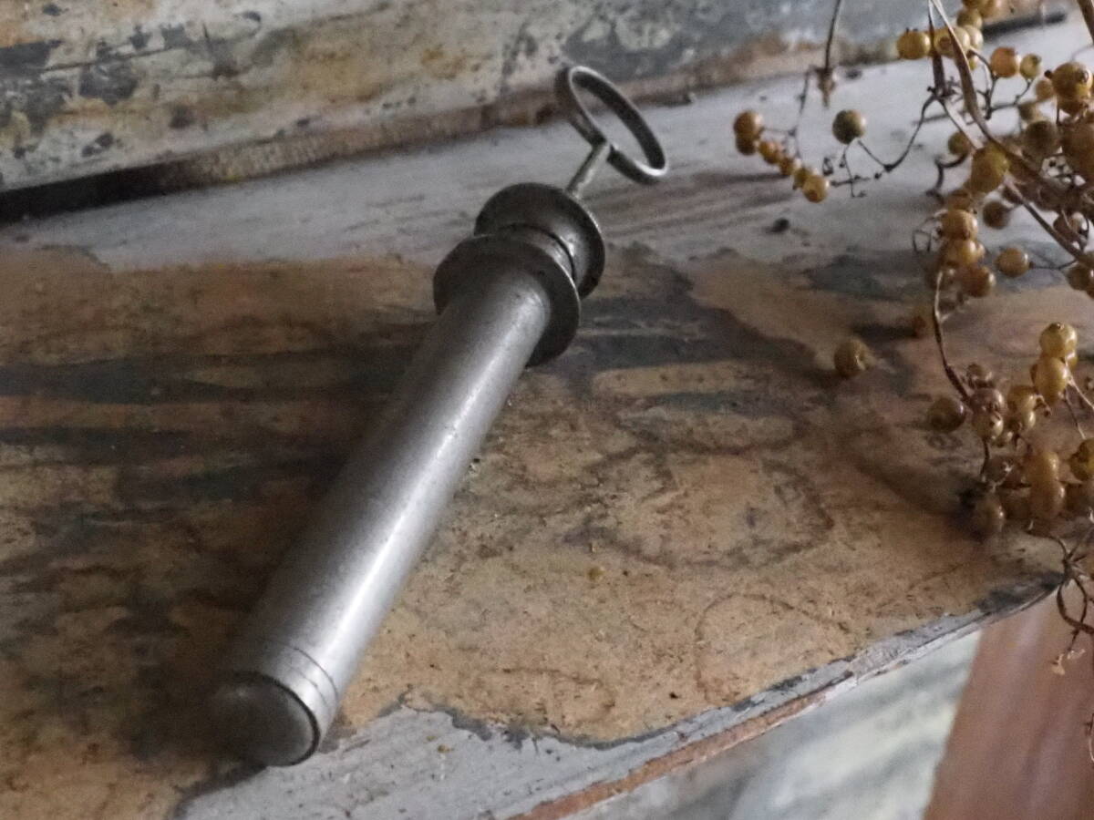 【ポンプ式霧吹き】注射器古道具アンティーク骨董インテリア盆栽インダストリアル鉢植えミスト拍卖