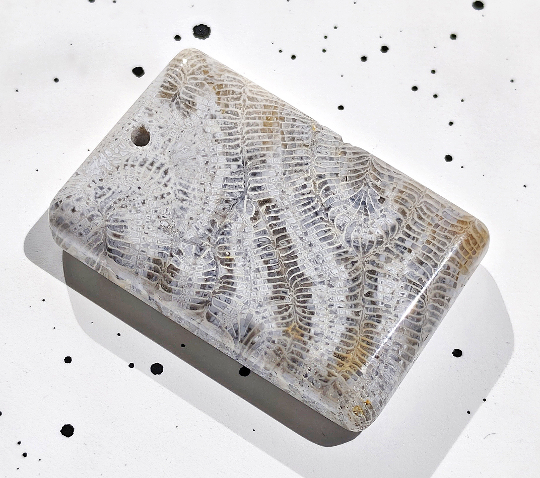 N01543◆Bigstone◆新品*産地の商品供給源*珊瑚玉*自然の贈り物【フォッシルコーラル】超大天然石ペンダントトップ拍卖