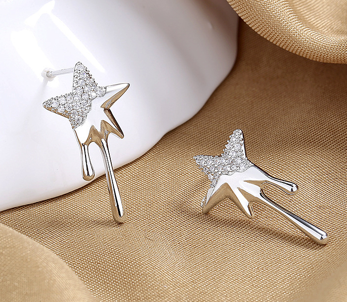 N250503◆Bigstone◆【溶岩星*パンク】ファッション感アップ*欧米大人気なピアス拍卖