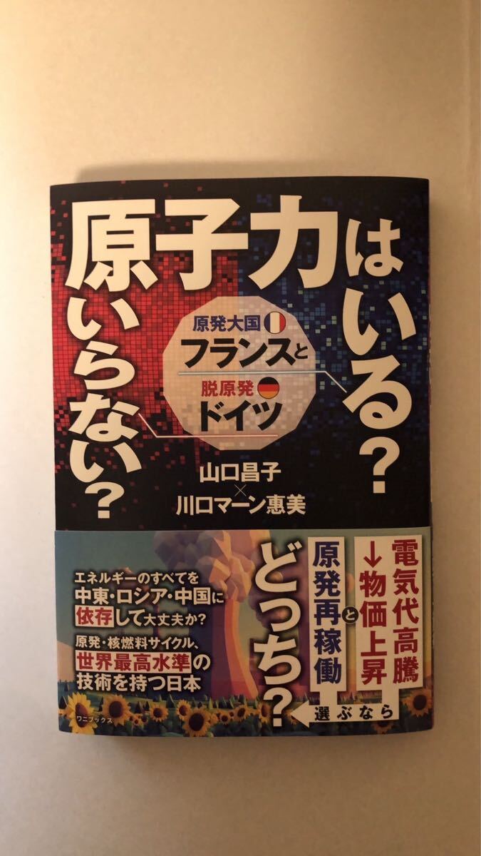 川口マーン惠美 他1名原子力はいる?いらない?原発大国フランスと脱原発ドイツ拍卖