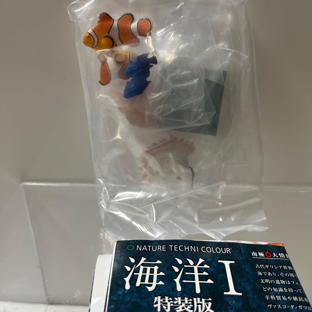 ネイチャーテクニカラー 海洋Ⅰ特装版 カクレクマノミ拍卖