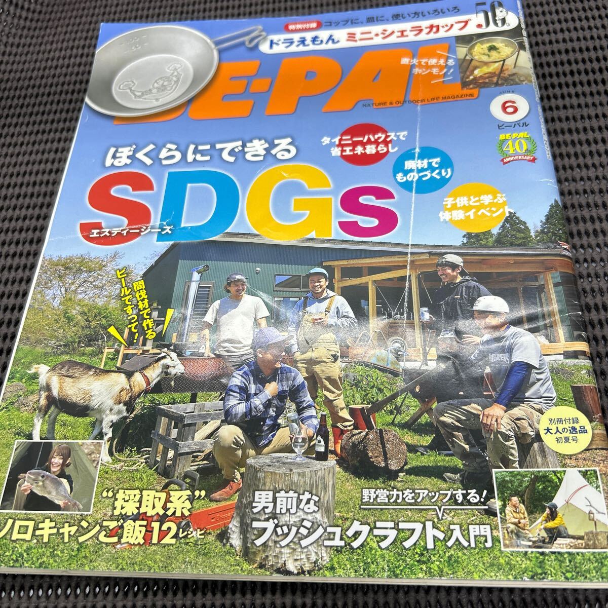 BE-PAL (ビーパル) 2021年 6月号 /D250414-19*96拍卖