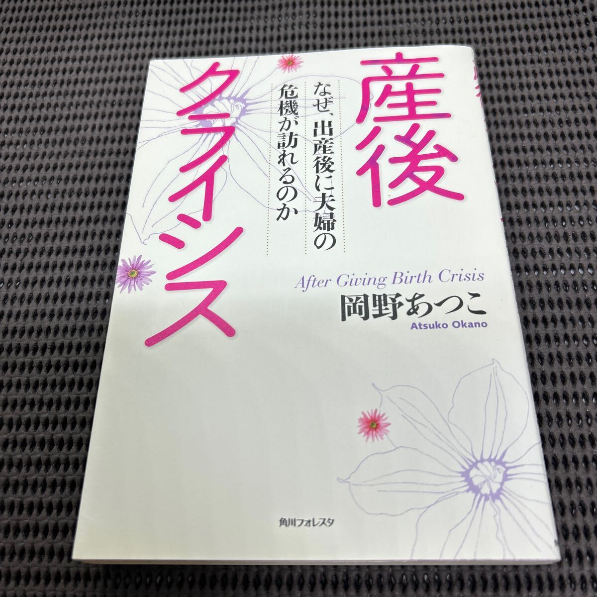 産後クライシス なぜ、出産後に夫婦の危機が訪れるのか (角川フォレスタ/岡野あつこ/E250422-23*48拍卖
