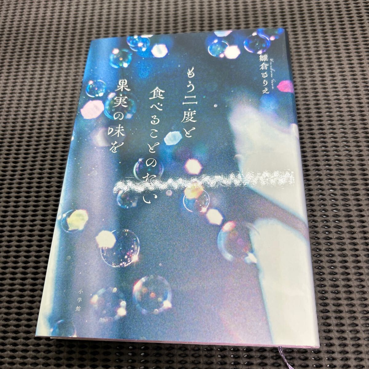 もう二度と食べることのない果実の味を/雛倉さりえ/小学館/E250423-17*67拍卖
