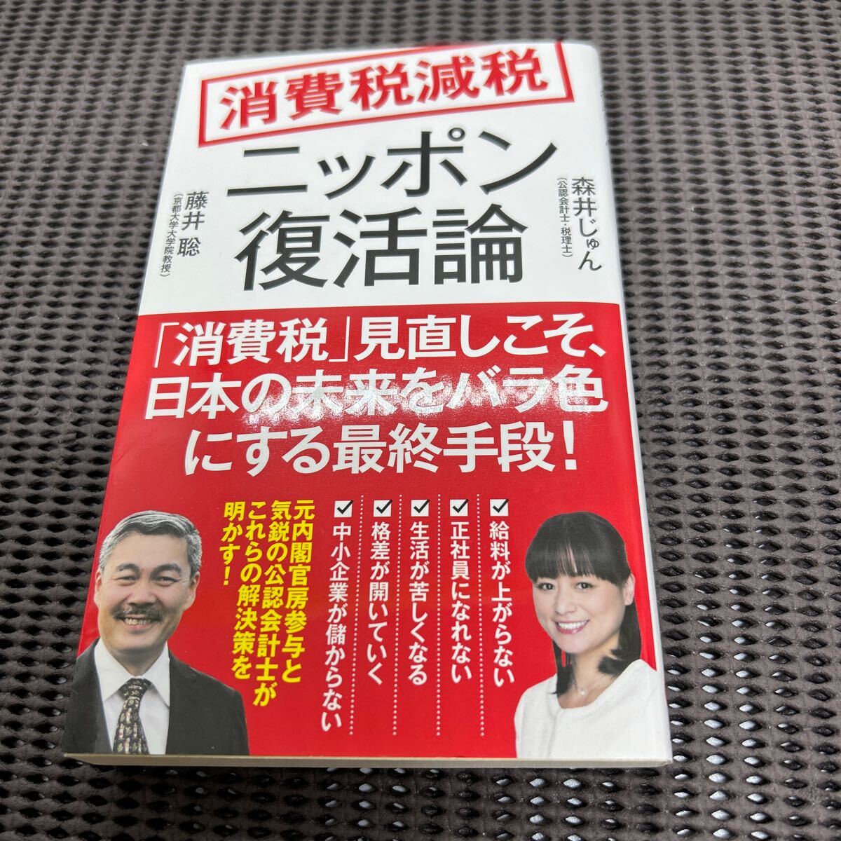 消費税減税ニッポン復活論 (ポプラ新書 230)/藤井聡/森井じゅん/F250426-5*30拍卖