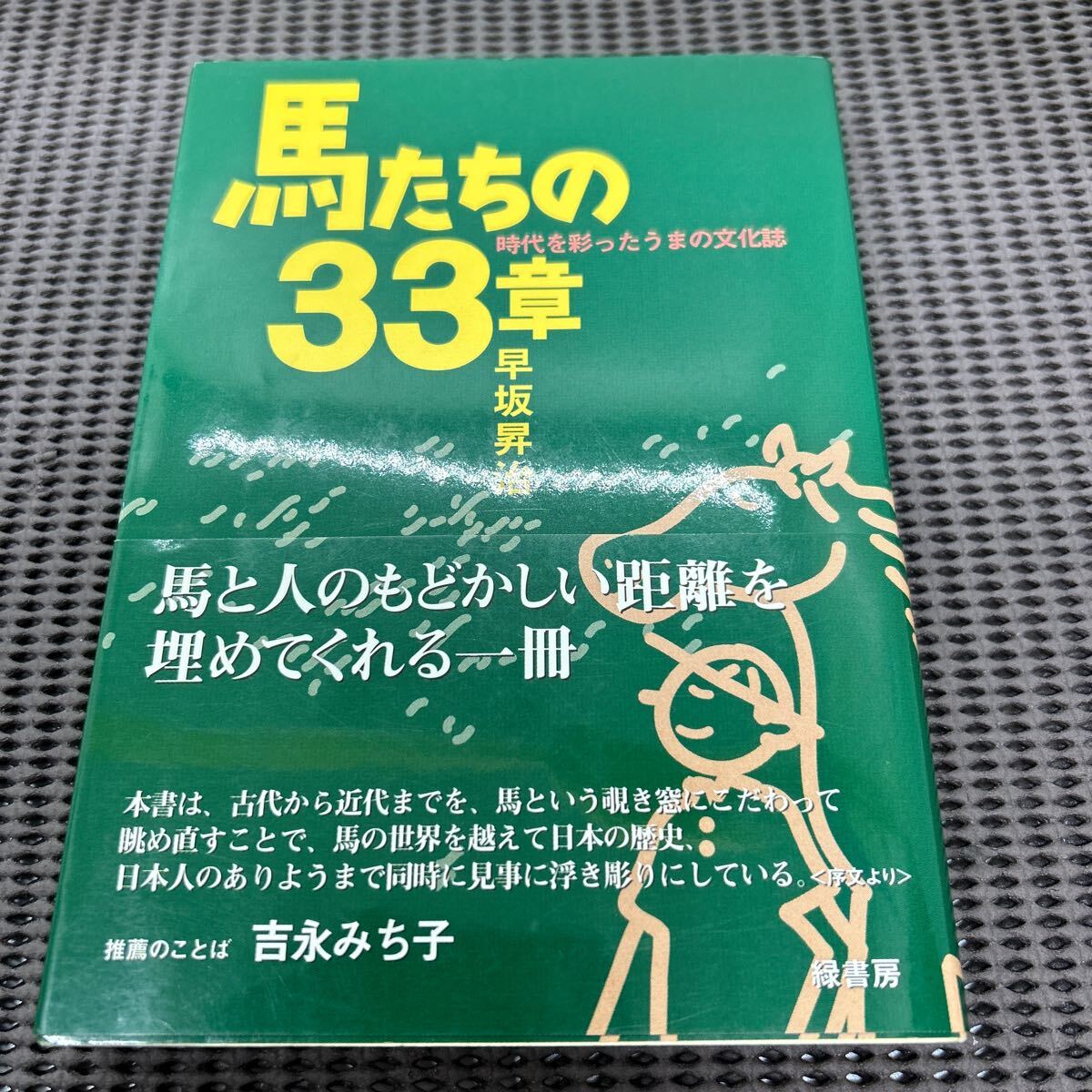 馬たちの33章: 時代を彩ったうまの文化誌/早坂 昇治/緑書房/G250429-5*5拍卖