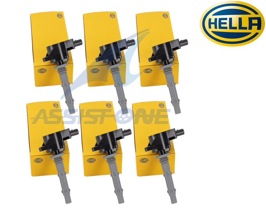 HELLA製 ベンツ イグニッションコイル GLクラス X164 Gクラス W463 Mクラス W164 Rクラス W251 M272 V6 M273 V8 ダイレクトコイル 6本拍卖