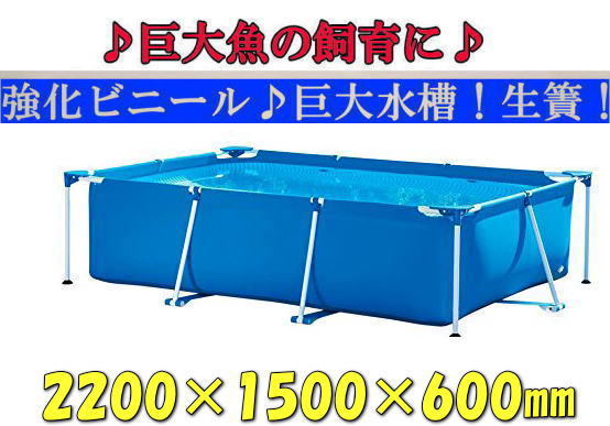 【新品!即決♪♪】◇★中型水槽♪生簀♪220×150×60cm♪巨大魚!錦鯉飼育♪繁殖に♪★◇♪拍卖