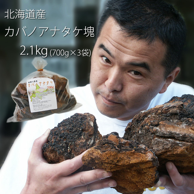 業務用 カバノアナタケ茶塊(原体)2.1kg(700g×3袋セット)北海道産チャーガ茶100%(かばのあなたけ茶)樺孔茸茶 チャーガティ【送料無料】拍卖