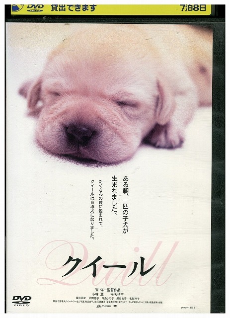 DVD クイール レンタル落ち ZU01143拍卖