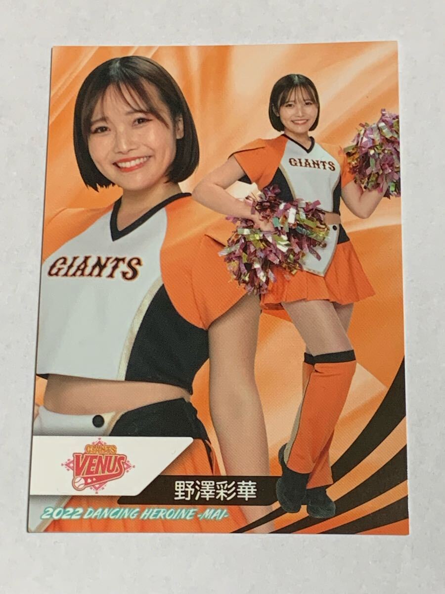 野澤彩華 2022 BBM チアリーダー 舞 #26 巨人 VENUS 即決拍卖