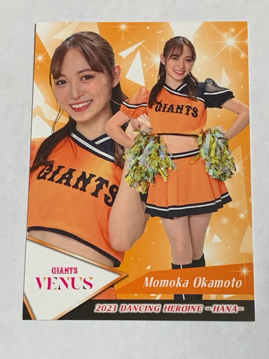 岡本桃花 2023 BBM チアリーダー 華 レギュラーカード 巨人 VENUS 即決拍卖