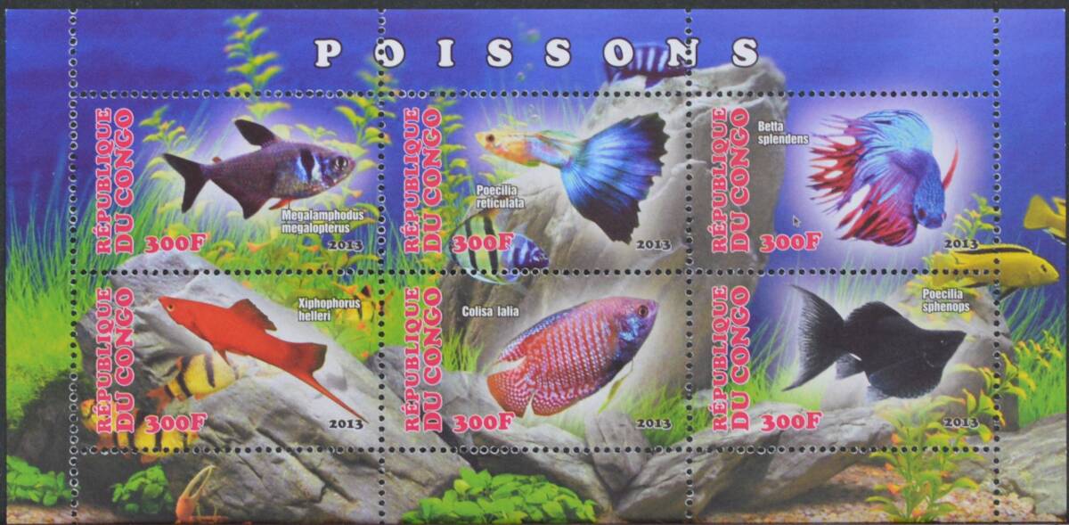 「TE30」コンゴ切手 2013年 熱帯魚拍卖