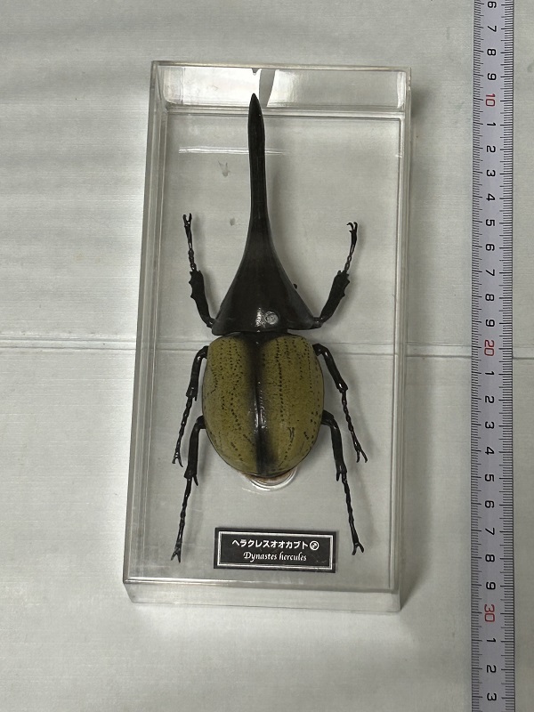 特売 世界の昆虫データブック ヘラクレスオオカブト オス 原寸大フィギュアコレクション デアゴスティーニ 原色日本昆虫図鑑拍卖