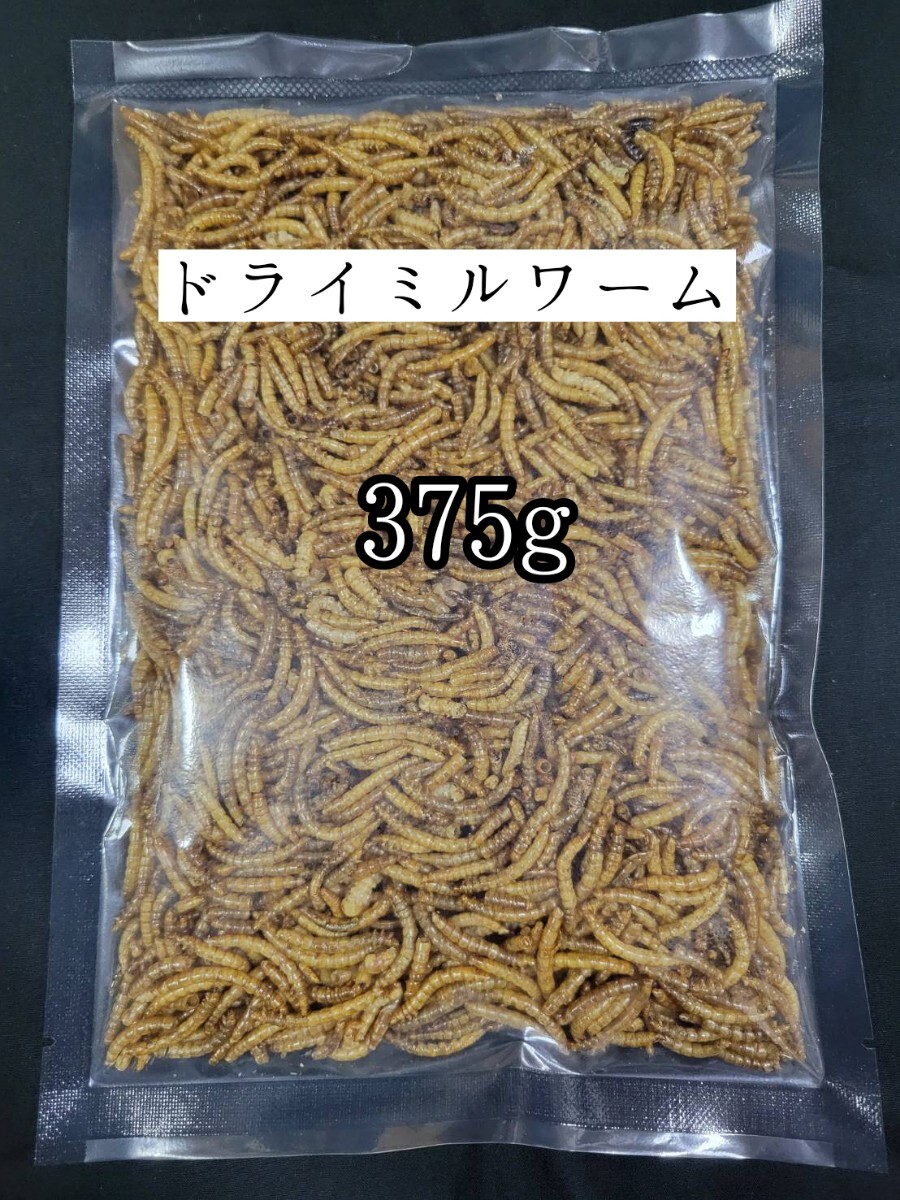 ドライミルワーム375g 小動物 爬虫類 ハムスター フクロモモンガ ハリネズミ トカゲ 鳥類 鶏 アクアリウム拍卖