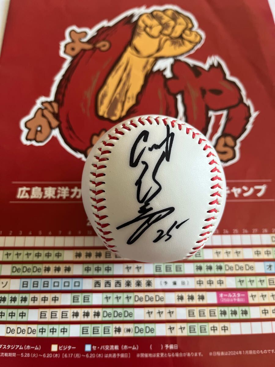 【日南キャンプ】広島東洋カープ #25 新井貴浩 直筆サインボール 沖縄キャンプ拍卖