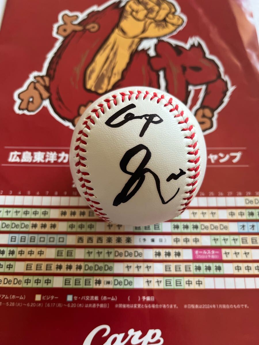 【日南キャンプ】広島東洋カープ #12 大道温貴 直筆サインボール 沖縄キャンプ拍卖