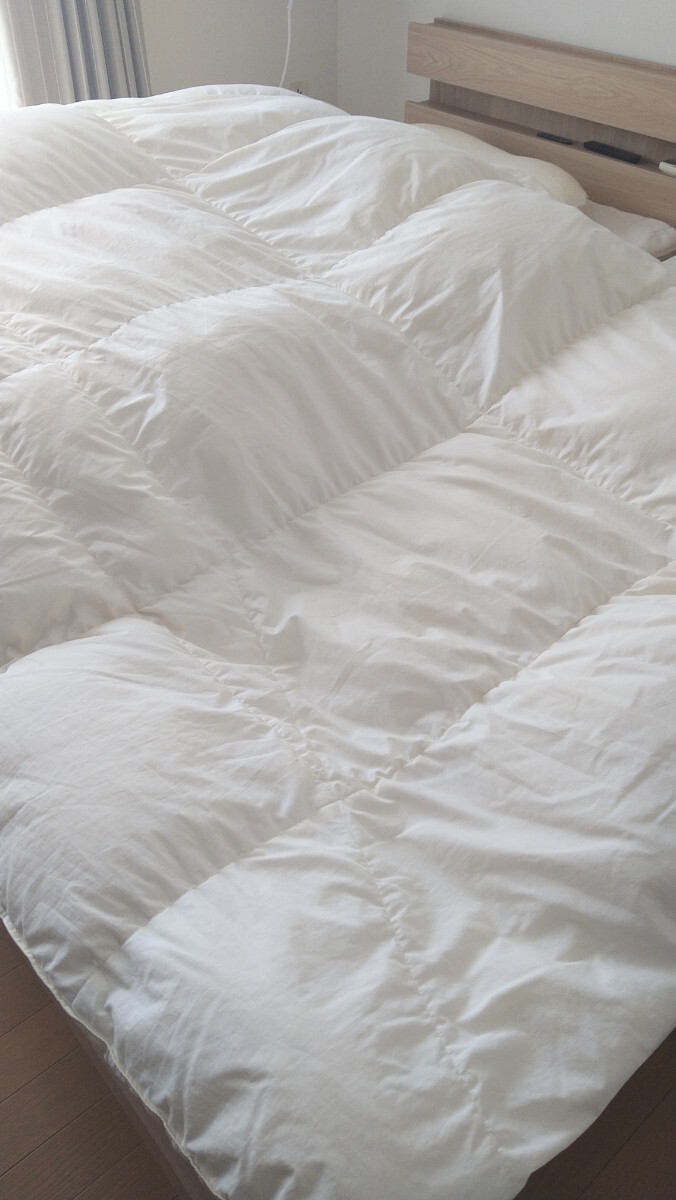 NITORI ホワイト羽毛掛け布団 ダブル拍卖