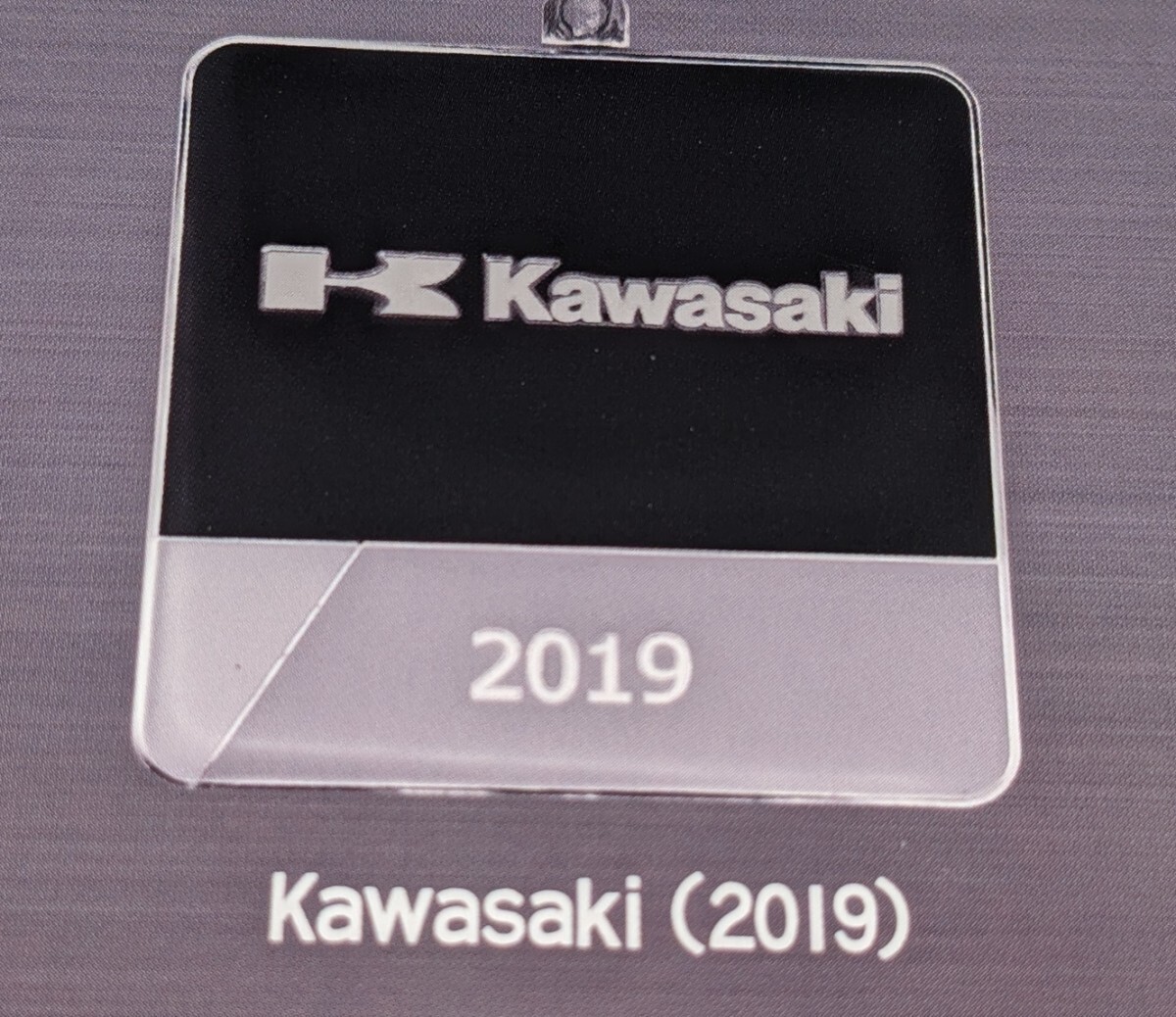 Kawasaki(2019) 川崎車両 鉄道車両室内銘板メタルキーホルダーコレクション トイズキャビン ガチャ ガチャガチャ 電車拍卖
