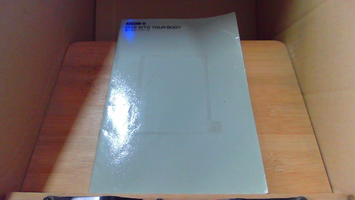 DIVE INTO YOUR BODY TMネットワーク/DGZH拍卖