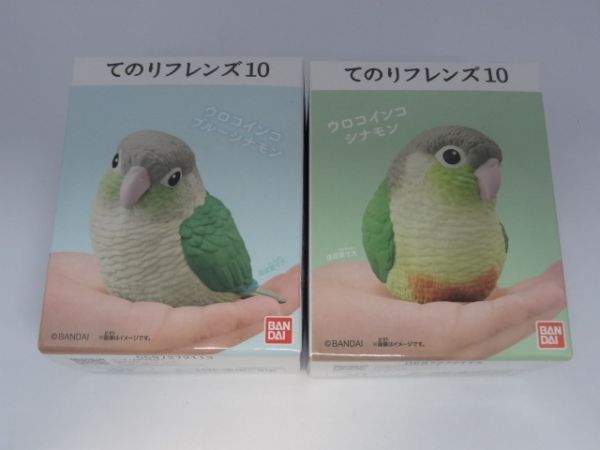★新品★てのりフレンズ10 「④ウロコインコ ブルーシナモン」+「⑤ウロコインコ シナモン」拍卖
