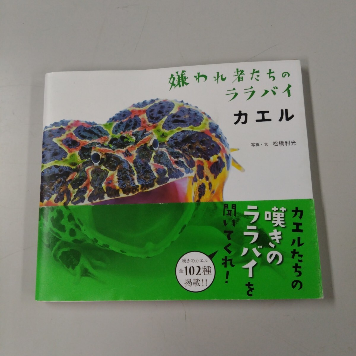 【初版・帯付】 嫌われ者たちのララバイ カエル 松橋利光 全102種 掲載 両生類 検索)爬虫類 小動物 拍卖