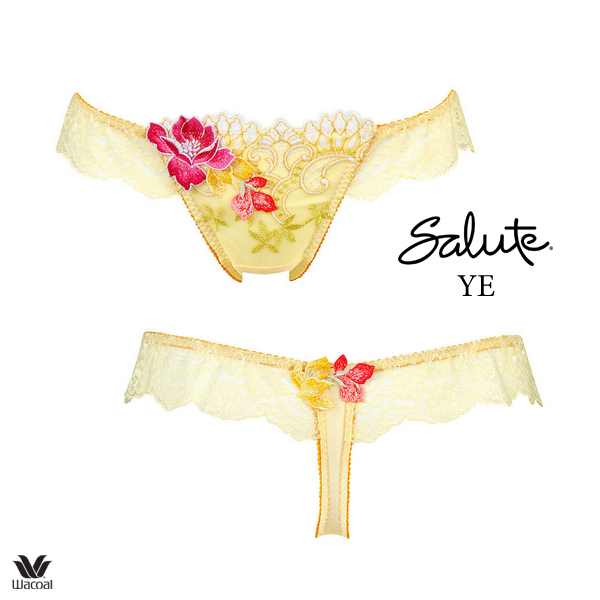 新品・タグ付き☆ワコール☆サルート☆エジプト☆YE☆ソングM拍卖