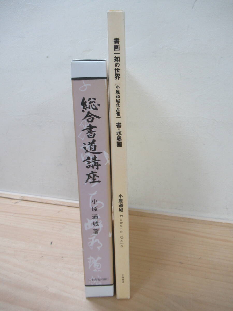 M29☆ 【 全初版 まとめ 2冊 】 総合書道講座 書画一如の世界 小原道城作品集 書・水墨画 セット 小原道城 楷書 行書 草書 篆書 250414拍卖