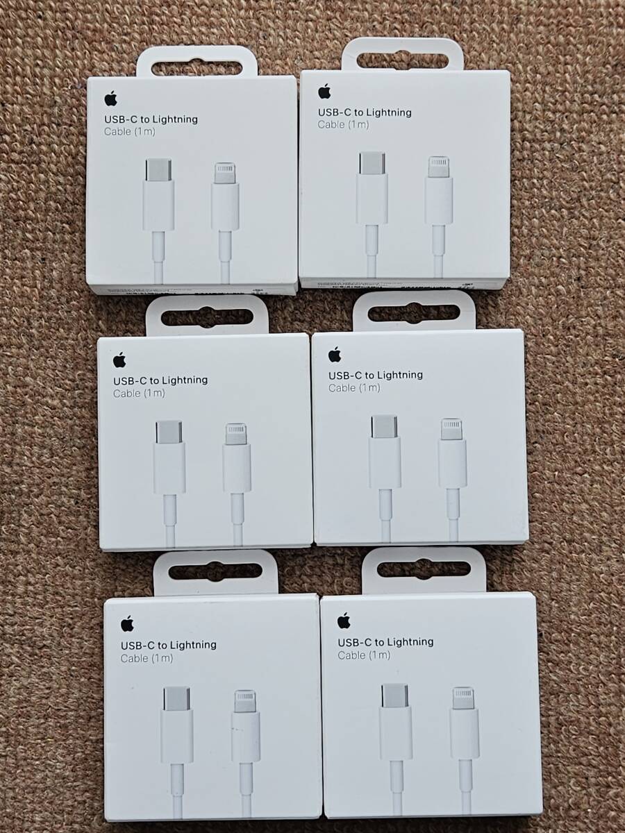 アップル Apple MUQ93FE/A USB-C - Lightningケーブル 1m 未開封 6個セット拍卖