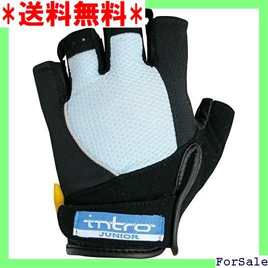 ☆人気商品 INTRO イントロ Stinger2J Junior r グローブ light blue JM 小学校中学年向 12拍卖