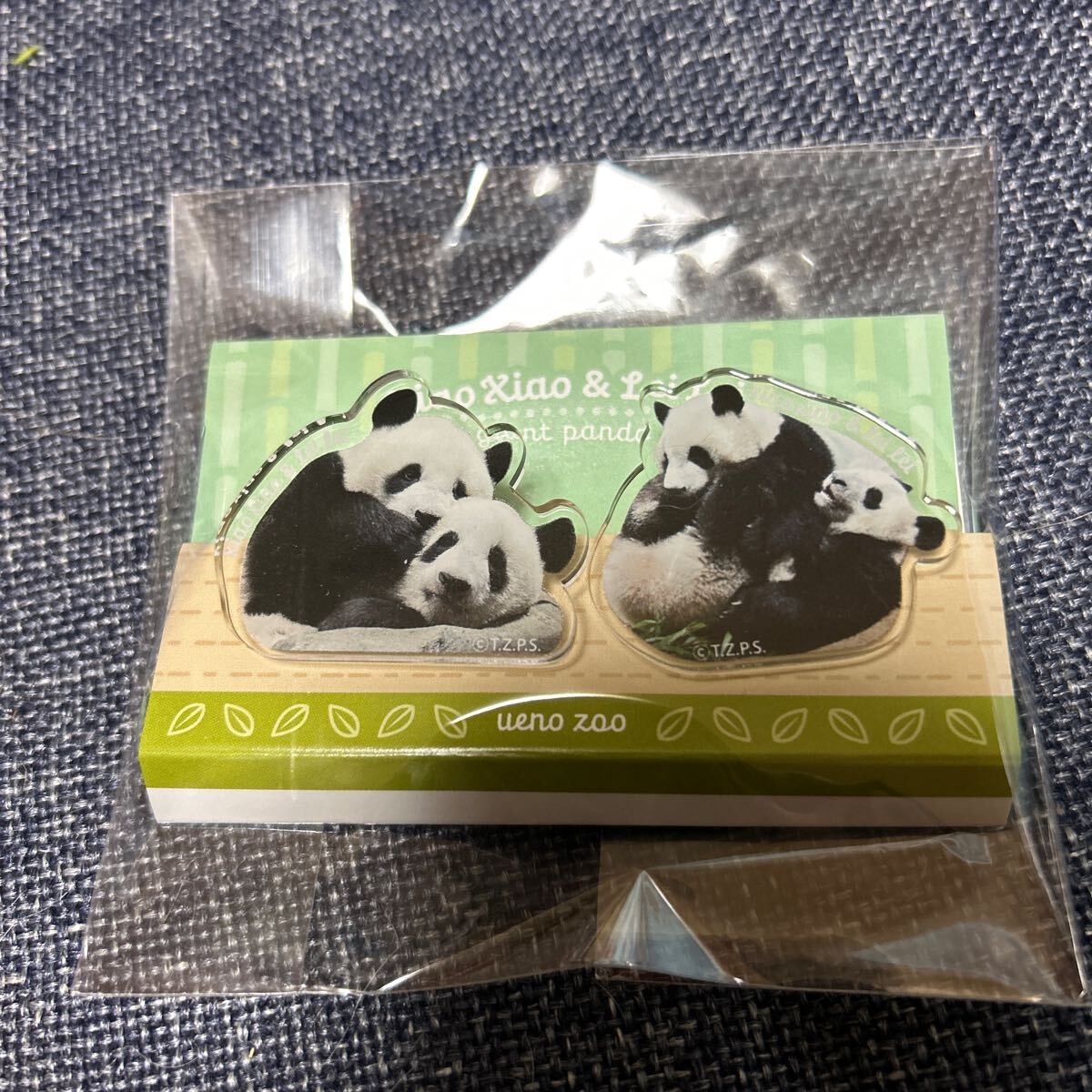 上野動物園 双子パンダ 暁暁&蕾蕾(シャオシャオ&レイレイ) アクリルクリップ拍卖