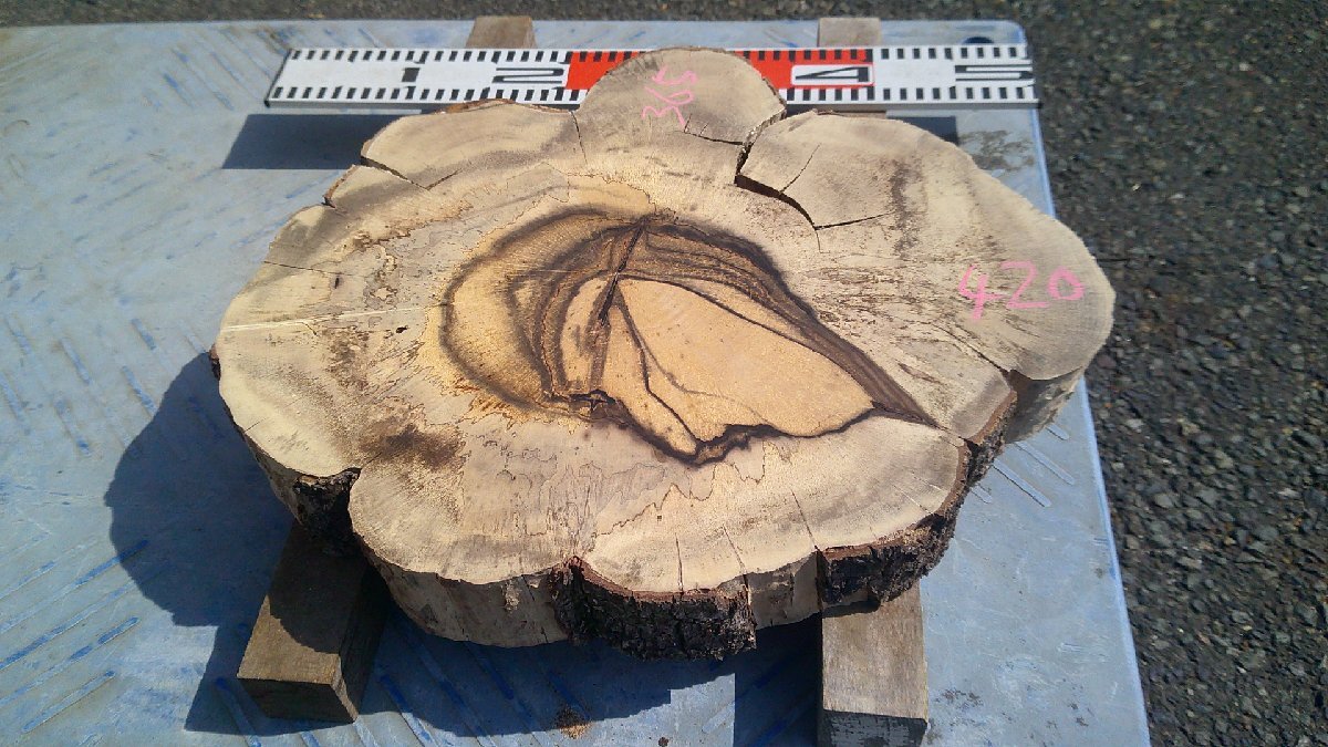 18-19 黒柿(カキ)輪切りの乾燥材・・・・敷板・花台・テーブル・ちゃぶ台・縞柿・孔雀杢・オブジェ・DIY拍卖